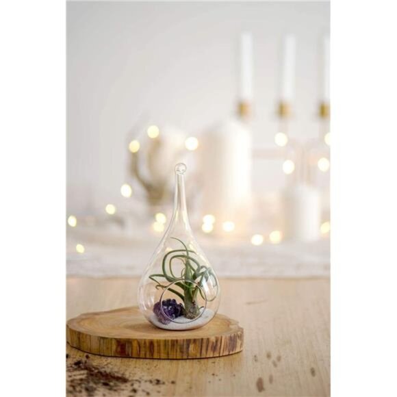 Mkono 2 Pack Glass Hanging Planter Air Fern Holder Terrarium Plants Hanger Vase - Picture 5 of 8